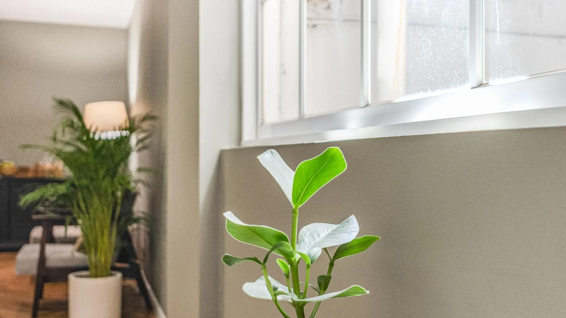 Hygge House Hotel Lisboa Gæstehus