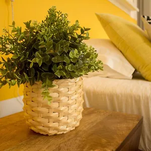  Bed & Breakfast Intendente 1865